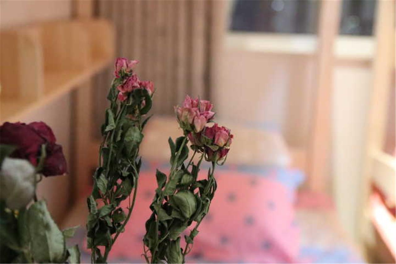 Yantai Music Theme Youth Hostel Exterior photo